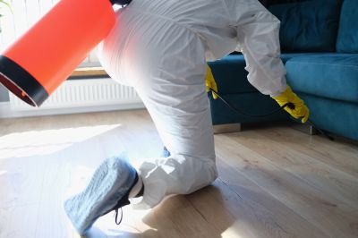 Commercial Fumigation in Naperville, IL